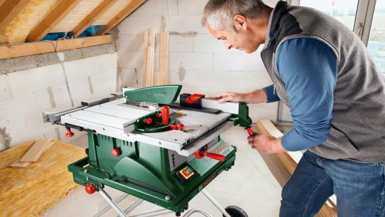 Actual product image Bosch Home & Garden Pts 10