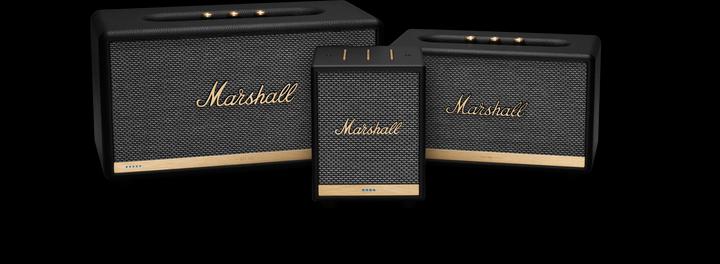 Actual product image Marshall Uxbridge Voice Google (Electrical connection)
