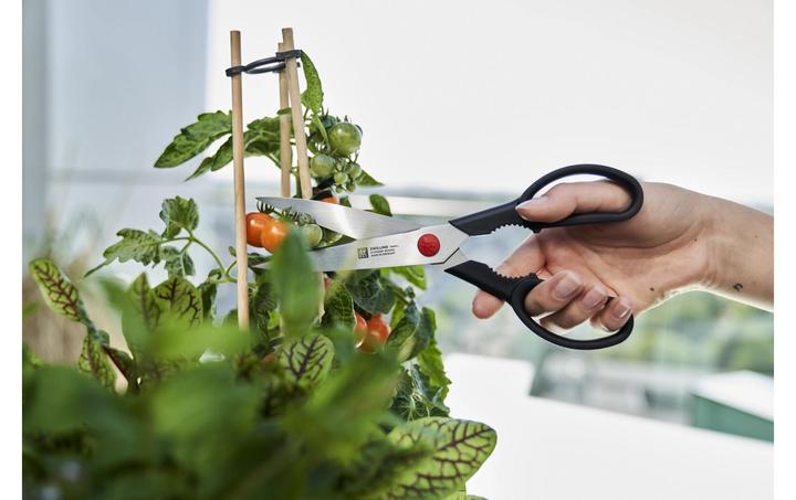 Produktbild Zwilling Twin L (23 cm)