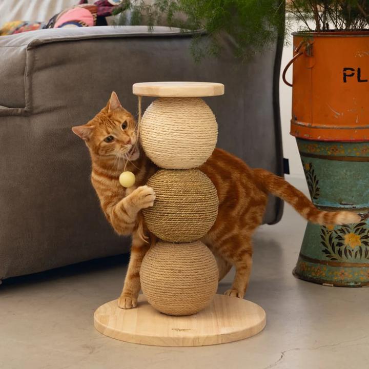 Actual product image Designed by Lotte Elio (47.50 cm, Beige)