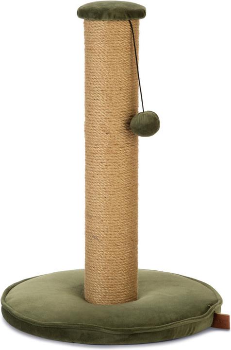 Cachi, Verde