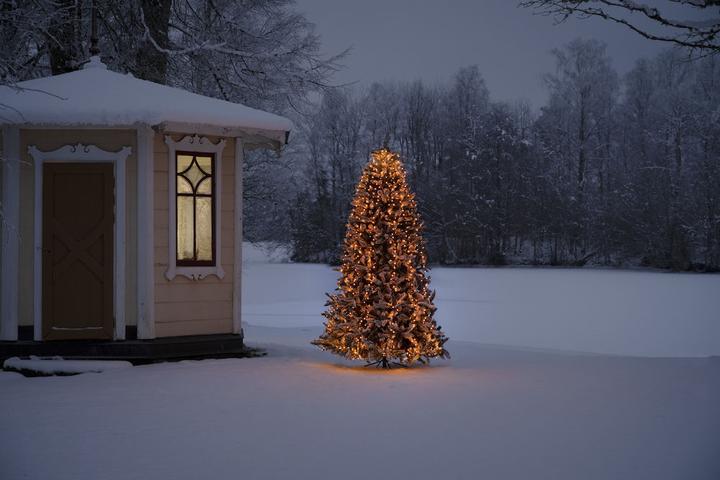 Image du produit Konstsmide 6650-100 Manteau d'arbre LED Extérieur EEK F A - G Alimentation secteur Nombre d'ampoules 660 (9 m)