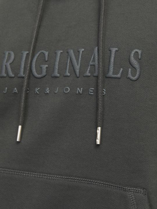 Actual product image Jack & Jones Jorfrederiksberg Sweat Hood Sn (S)