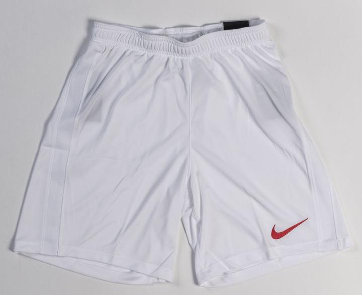 Nike Türkei EM Shorts (M)
