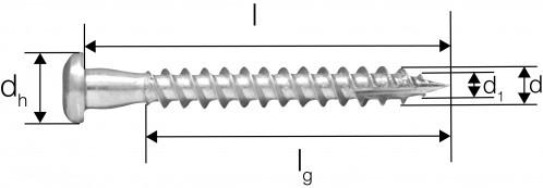 Actual product image Simpson Sst Screws (200 pcs.)