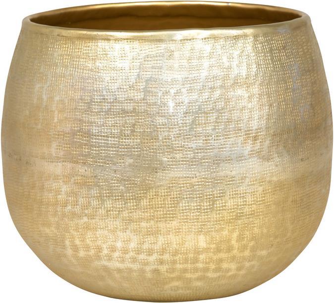 pfister Net