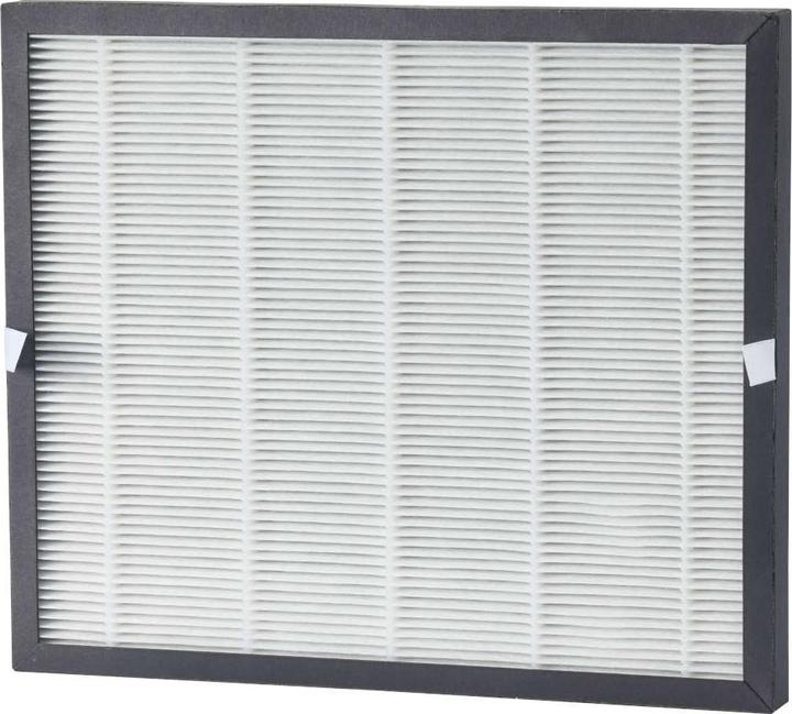 ecofort ecoQ 2in1 HEPA/Aktivkohlefilter für 20L/25L Energy Saver Complete (2 Stk.) (2 x)