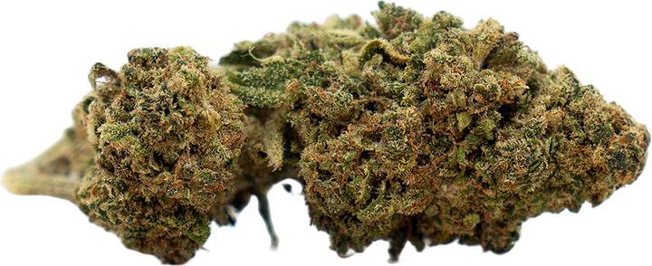 Immagine prodotto Herba di Berna Cannatonic Indoor (3.50 g, Interno)