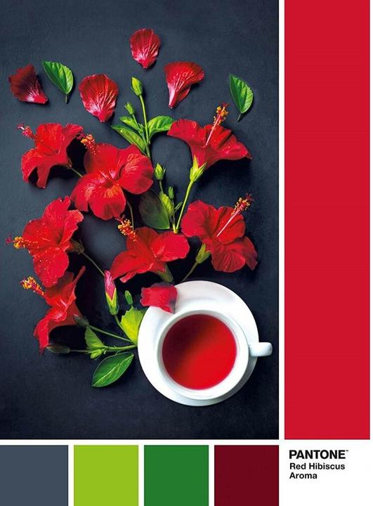 Immagine prodotto Clementoni PUZZLE 1000 PANTONE Bacca di Goji (1000 pezzi)