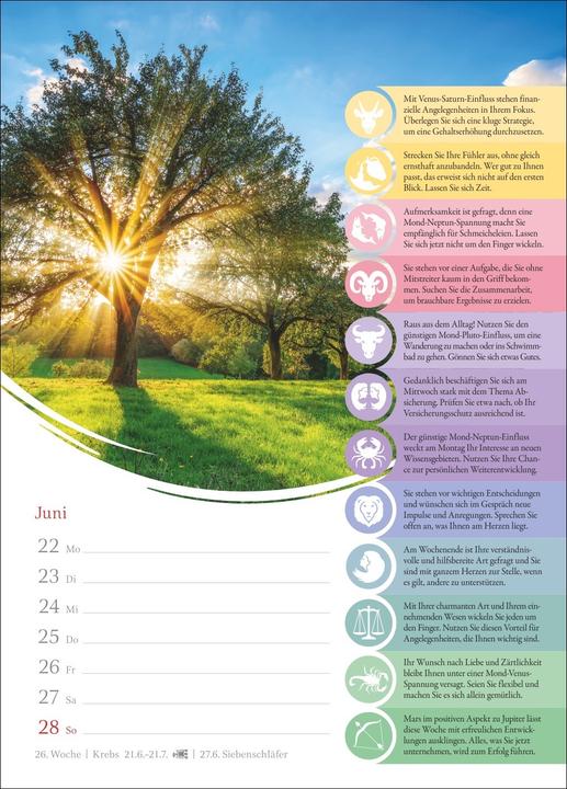 Actual product image Harenberg Horoskope Wochenkalender 2026 - Wochenkalender mit Prognosen für alle Sternzeichen (German)