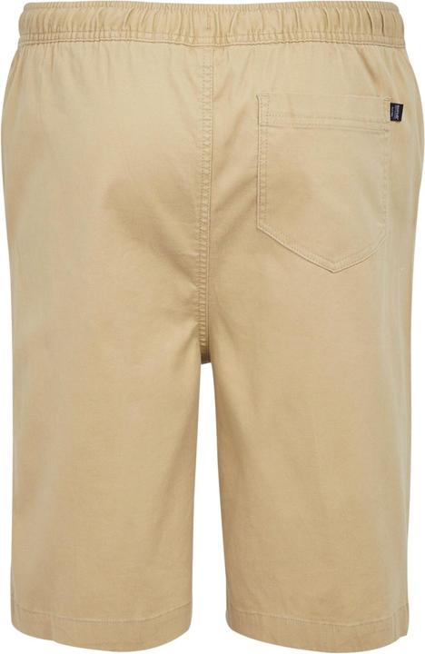Actual product image Regatta Mens Aldan Chino Shorts (40)