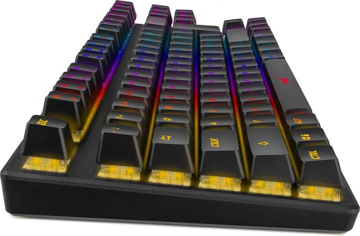 Actual product image Niceboy ORYX K300X (DE, Cable)