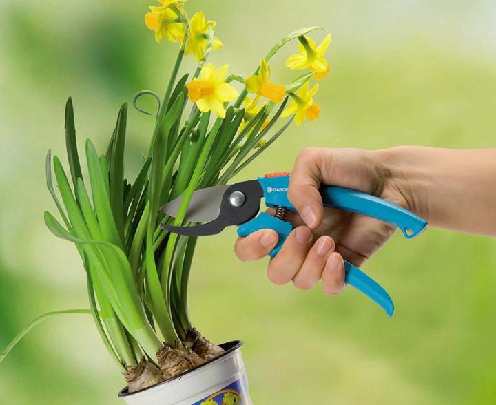 Actual product image Gardena Classic