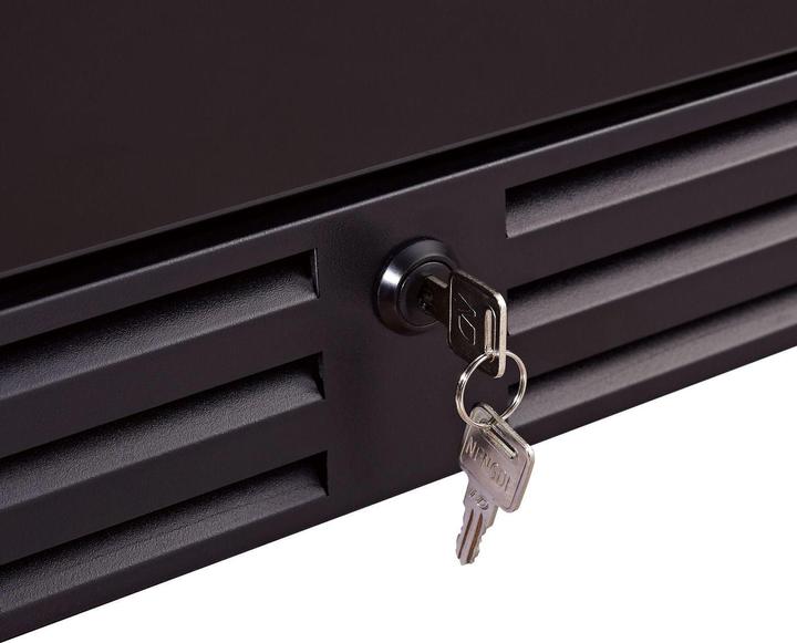 Immagine prodotto Swisscave WL455F