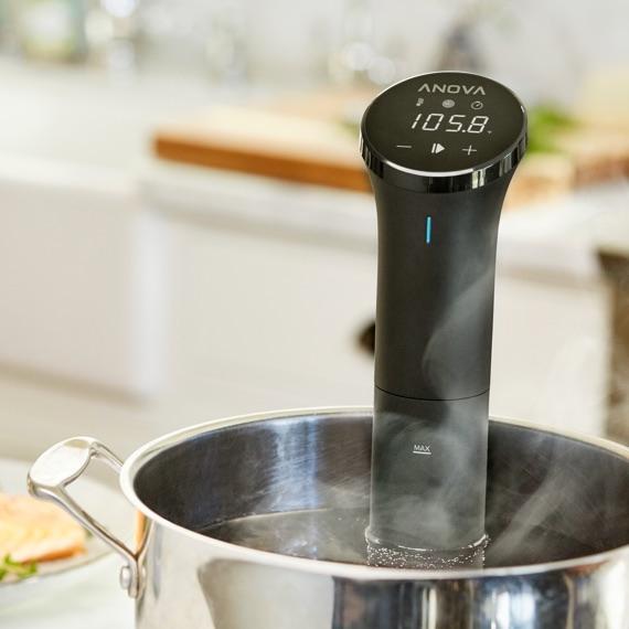 Actual product image Anova Nano