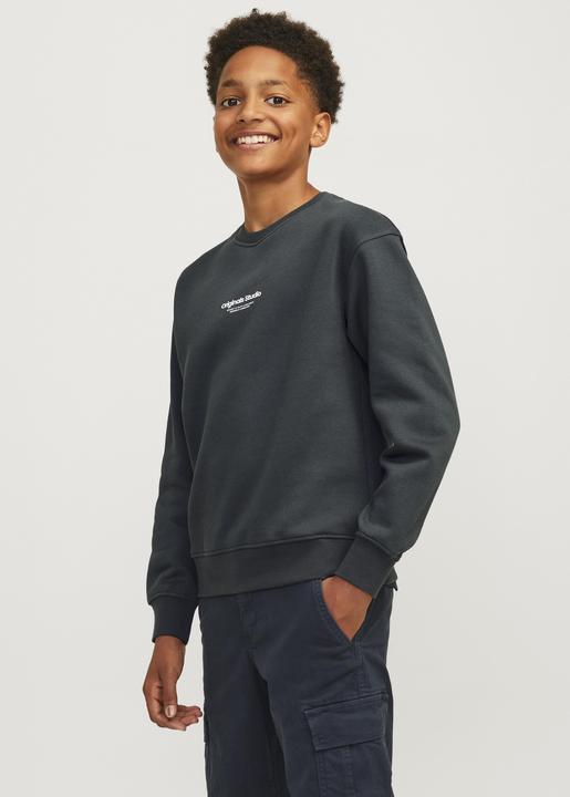 Actual product image Jack & Jones Jorvesterbro Sweat Crew Neck Bn Mni (122)