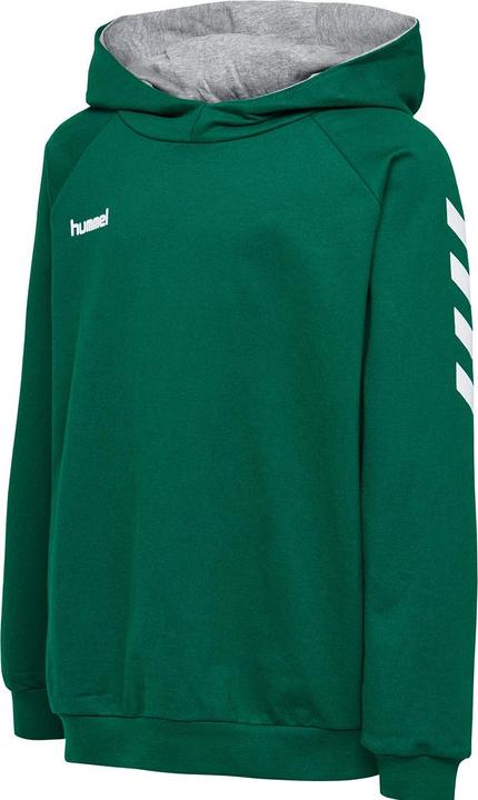 Immagine prodotto hummel Go Kids Felpa Con Cappuccio In Cotone (116)