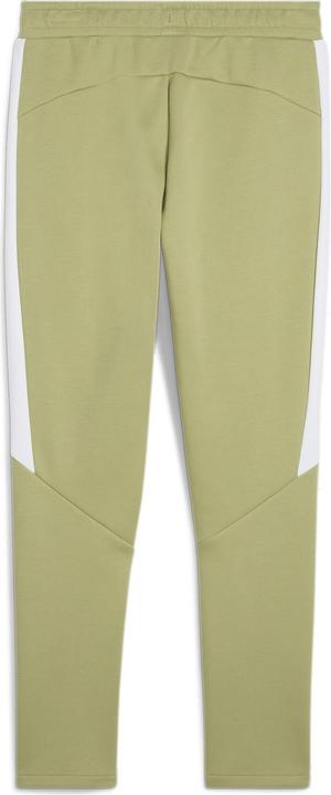 Actual product image Puma teamEVOSTRIPE Pants (XL)