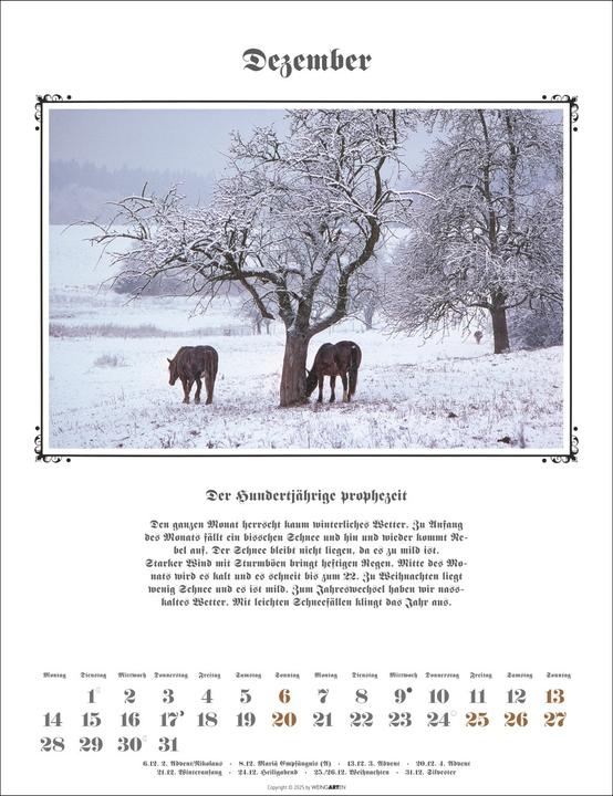 Actual product image Der Hundertjährige Kalender 2026 (30 x 39 cm, German)