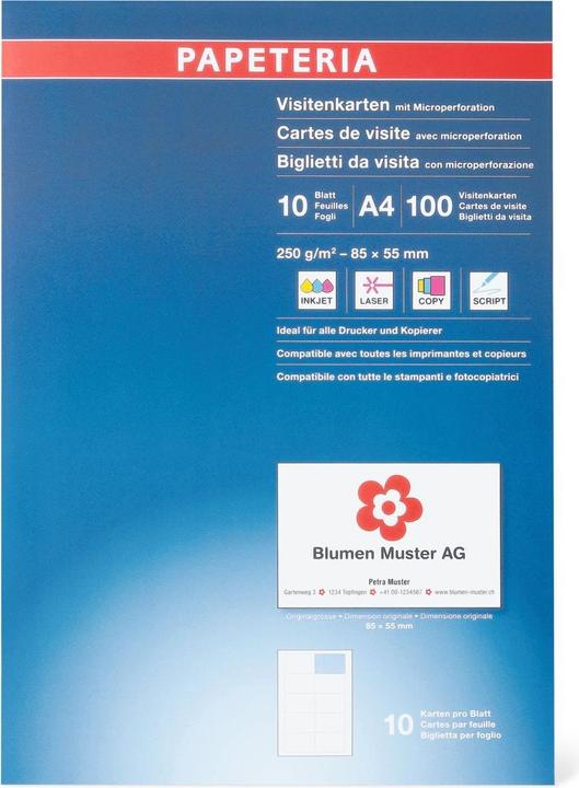 Actual product image Papeteria Business cards 250g/m2 white (250 g/m², 10 x, A4)