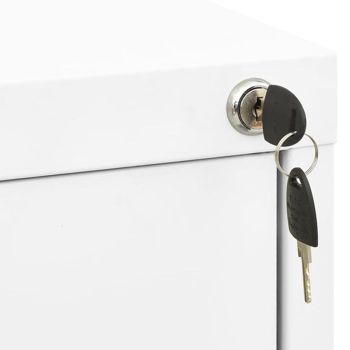 Immagine prodotto VidaXL Aktenschrank (46 x 62 x 102,5 cm)