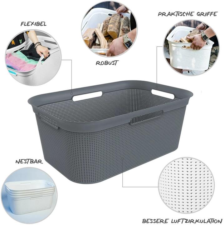 Immagine prodotto Rotho Breezes (41 l)