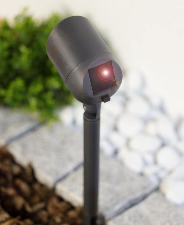 Produktbild Wetelux Solar LED Spot (IP44)