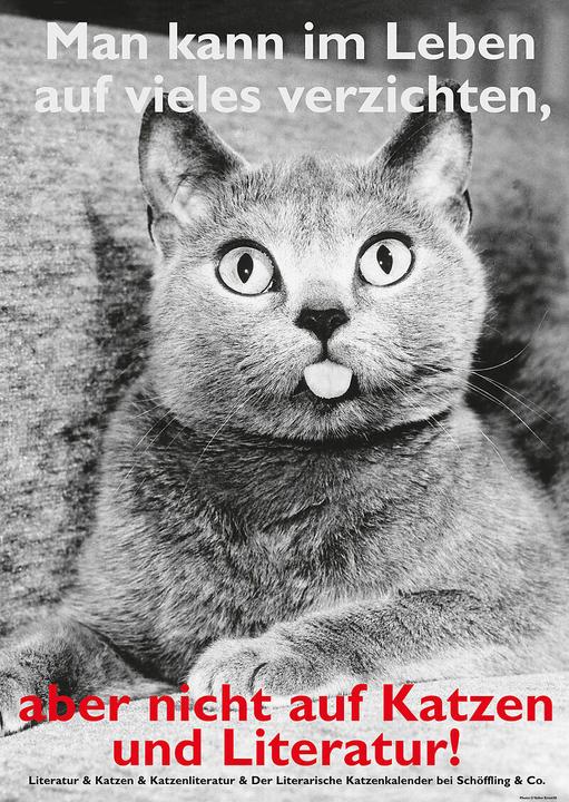 Produktbild Postkarten Katzen und Literatur (10 Stk.)
