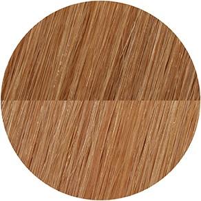 Actual product image Showpony - 20" 7 Piece Clip In Boxset- Cool Soft Blonde Ombre (Cool Soft Blonde Ombre)