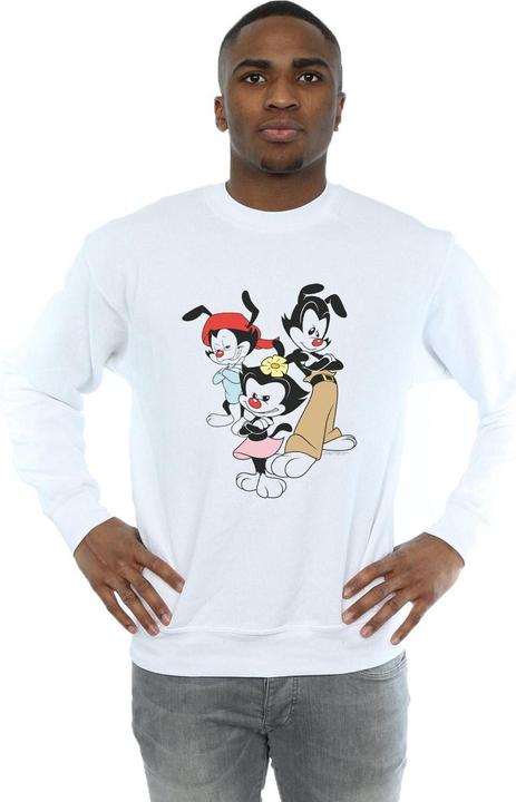 Image du produit Universal Textiles - Sweat DOT WAKKO AND YAKKO - Homme (5XL)