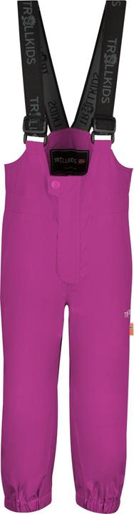 Actual product image Trollkids Kid's Odda Pant (110)