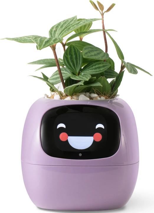 Produktbild Plantsio Ivy Smart Planter
