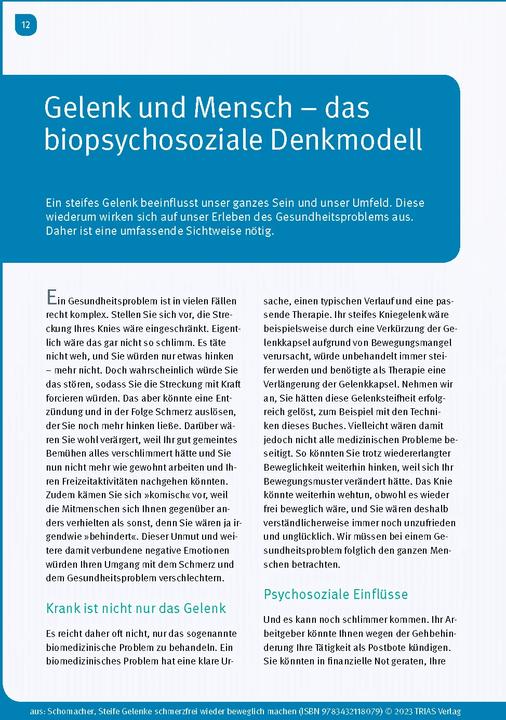 Immagine prodotto Steife Gelenke schmerzfrei wieder beweglich machen (Tedesco, Jochen Schomacher, 2023)