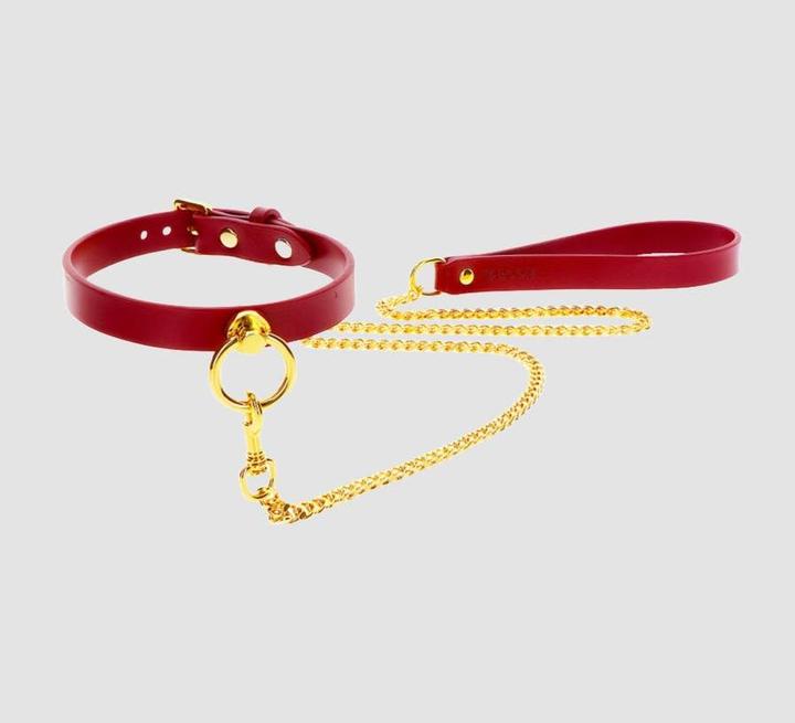 Actual product image Taboom O-Ring Collar and Chain Leash