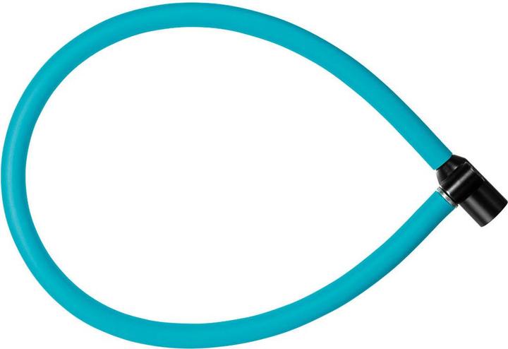 Image du produit AXA Résolue 60/6 (60 cm)