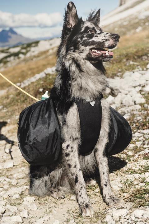 Actual product image Hurtta Backpack incl. Active harness (M, Dog vest)
