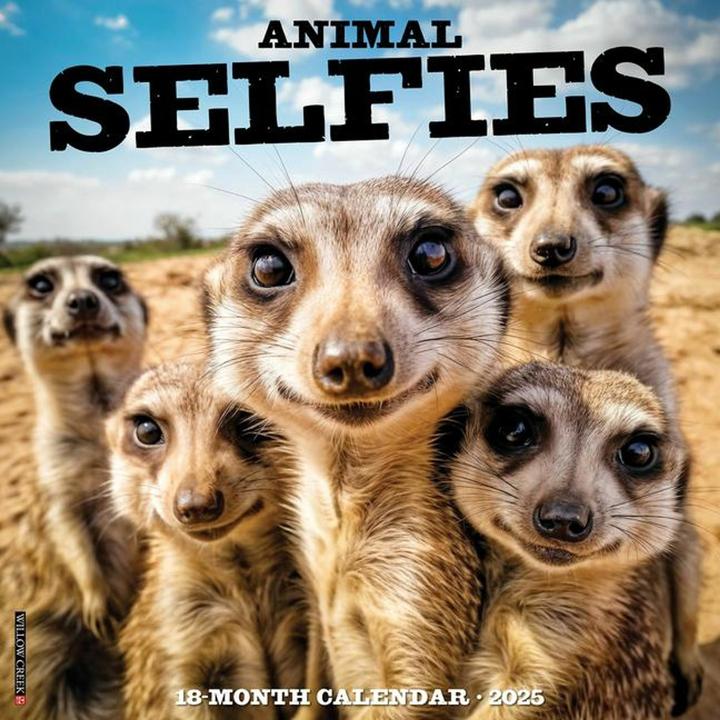 Produktbild Willow Creek Press Animal Selfies 2025 12 X 12 Wall Calendar (12 x 12 cm, Englisch)