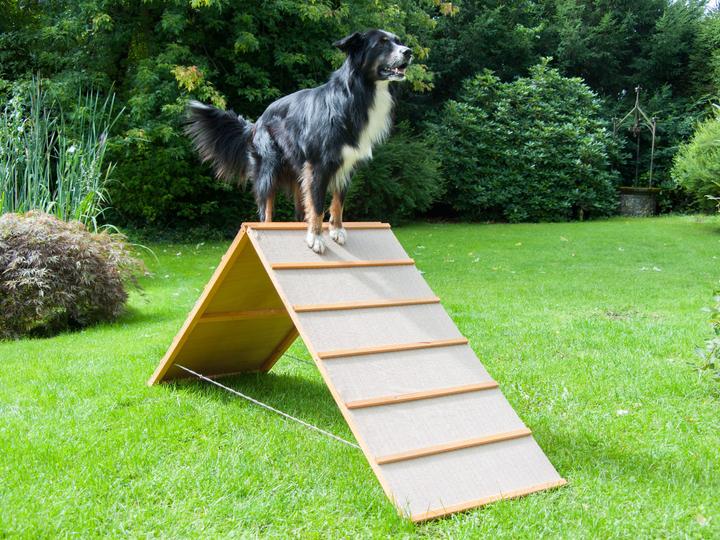 Actual product image Petcenter A-wall (Dog activity toy)