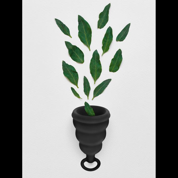 Produktbild Gvibe Gcup Mystic Noir (S)