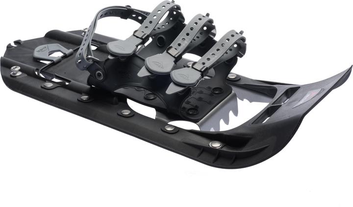 Actual product image Msr Denali Ascent (22")