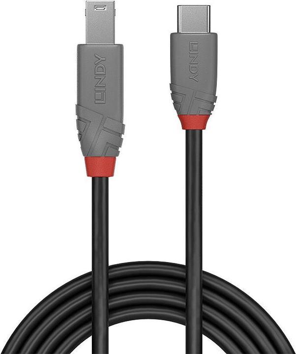 Actual product image Lindy USB 3.2 Type C to B Cable, Anthra Line (3 m, USB 3.2 Gen 1)