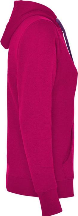 Actual product image Alpinia Womens/Ladies Urban Hoodie (L)
