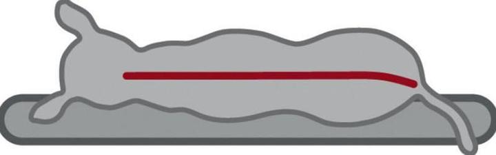 Image du produit Trixie Matelas vital Bendson (Chien)