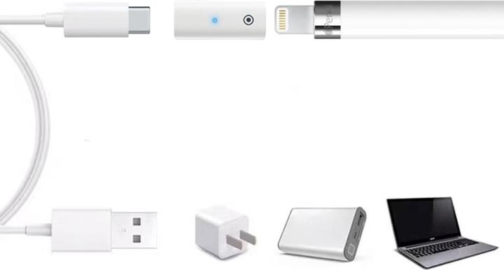 Actual product image PowerGuard Charge Adapter (Lightning, USB Type C)