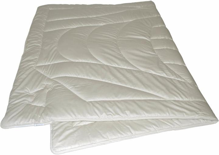 Immagine prodotto Billerbeck Edition Sansa Uno (1350 g, 160 x 210 cm)