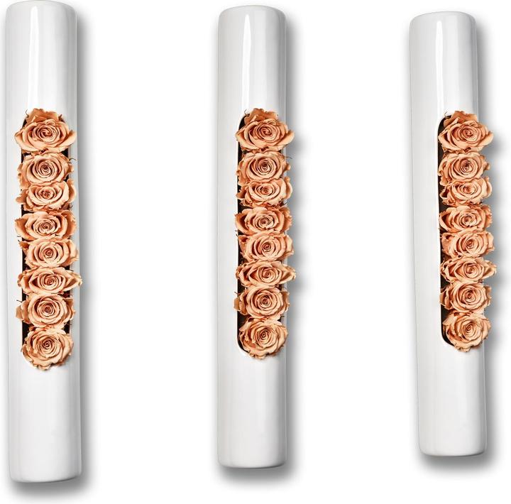 Actual product image Flowerbox Set of 3 roses in ceramic Infinity (Infinity Flowers)