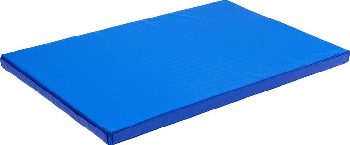 Actual product image Reivo Combination lightweight gymnastics mat
