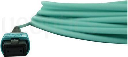 Actual product image BlueOptics MC6709309-007 compatible MPO-4xLC OM3 patch cable 7.5 metres
