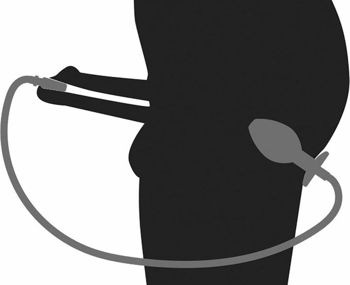 Actual product image You2Toys Piss To Ass Plug