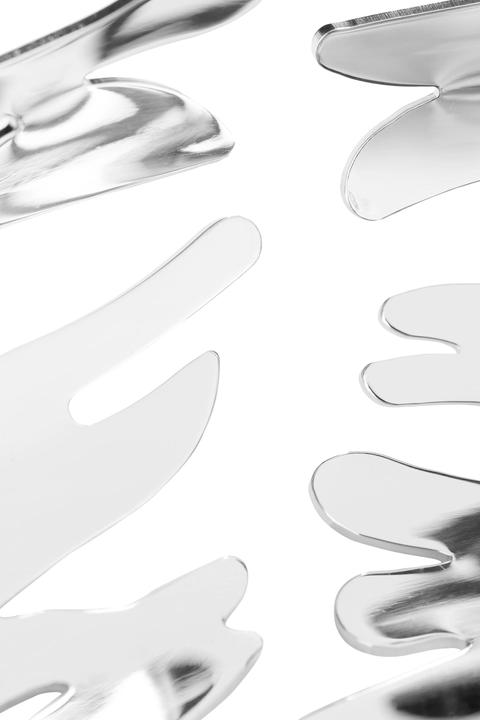 Image du produit Alessi Coupe à fruits BARKNEST platine (Ø 21 x 7 cm)